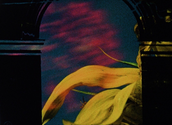 Dans les cieux et sur la terre // Erin Weisgerber Canada / 2022 / 11&amp;rsquo;40&amp;rdquo; / optical sound / 16mm